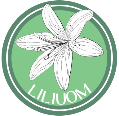 لیلیوم کمپانی