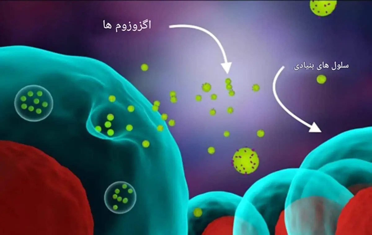 اگزوزوم تراپی: فواید، کاربردها و قیمت درمان