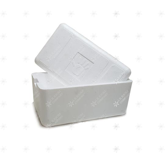 یخدان یونولیتی مسافرتی